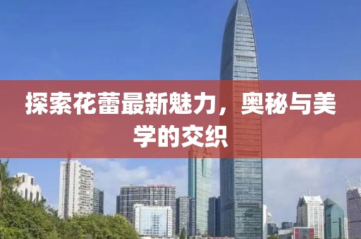 探索花蕾最新魅力，奥秘与美学的交织