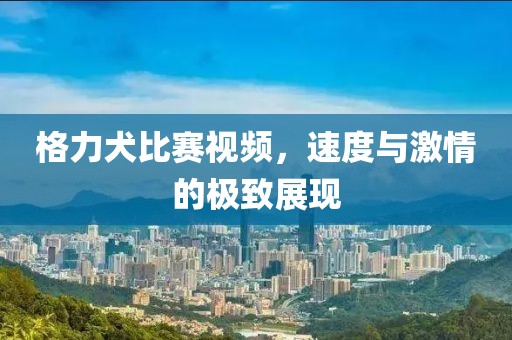 格力犬比赛视频，速度与激情的极致展现