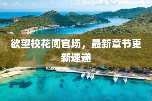 欲望校花闯官场，最新章节更新速递