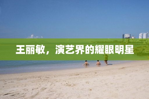 王丽敏，演艺界的耀眼明星