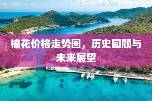 棉花价格走势图，历史回顾与未来展望