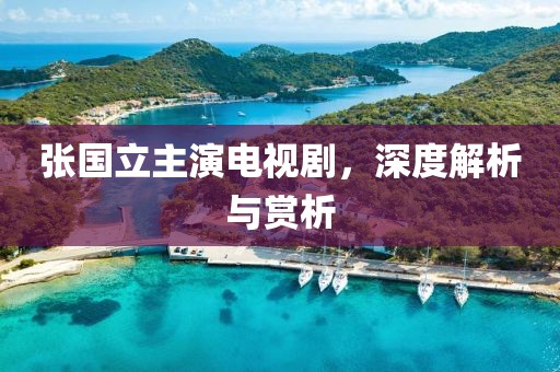 张国立主演电视剧，深度解析与赏析
