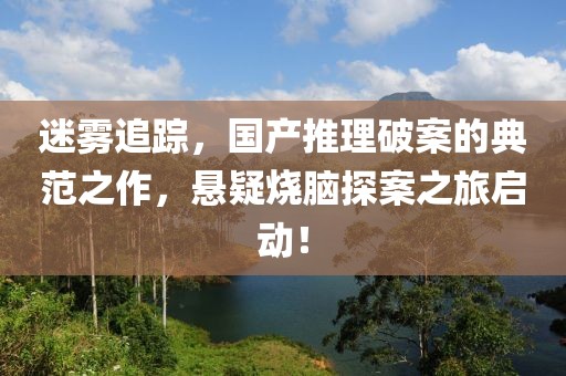 迷雾追踪，国产推理破案的典范之作，悬疑烧脑探案之旅启动！