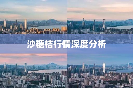 沙糖桔行情深度分析