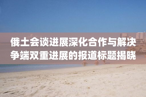 俄土会谈进展深化合作与解决争端双重进展的报道标题揭晓