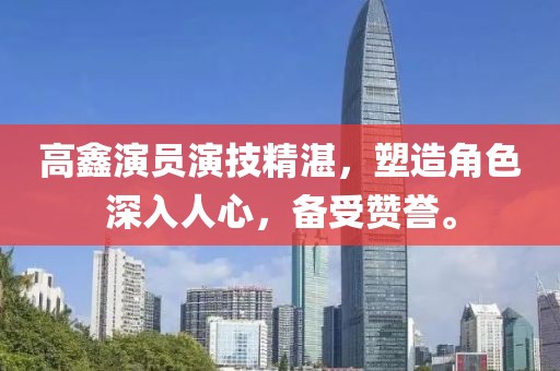 高鑫演员演技精湛，塑造角色深入人心，备受赞誉。