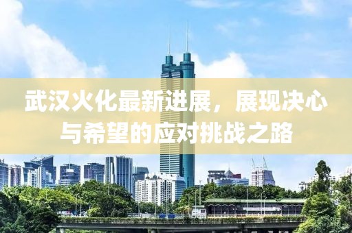 武汉火化最新进展，展现决心与希望的应对挑战之路