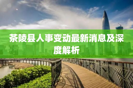 茶陵县人事变动最新消息及深度解析
