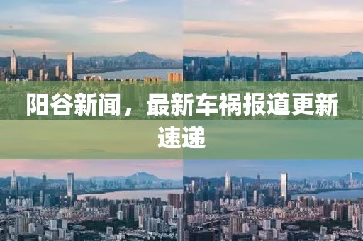 阳谷新闻，最新车祸报道更新速递
