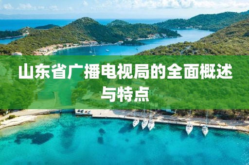 山东省广播电视局的全面概述与特点