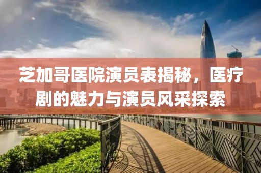 芝加哥医院演员表揭秘，医疗剧的魅力与演员风采探索