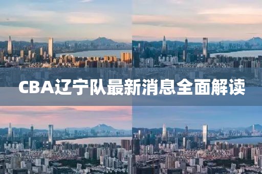 CBA辽宁队最新消息全面解读