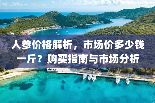 人参价格解析，市场价多少钱一斤？购买指南与市场分析