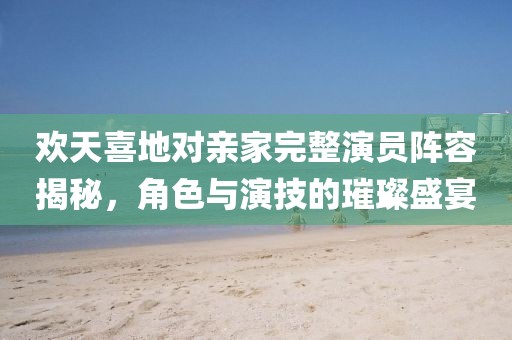 欢天喜地对亲家完整演员阵容揭秘，角色与演技的璀璨盛宴