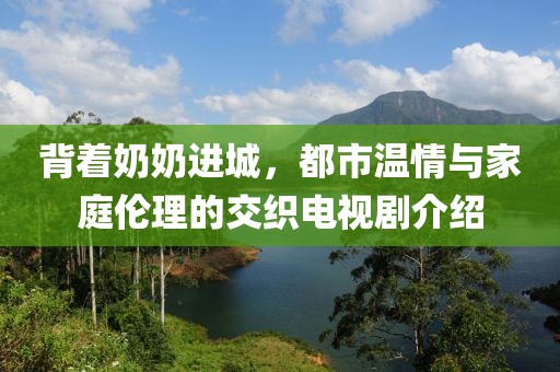 背着奶奶进城，都市温情与家庭伦理的交织电视剧介绍