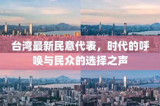 台湾最新民意代表，时代的呼唤与民众的选择之声
