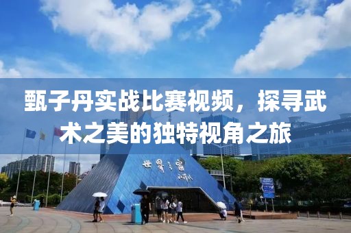甄子丹实战比赛视频，探寻武术之美的独特视角之旅