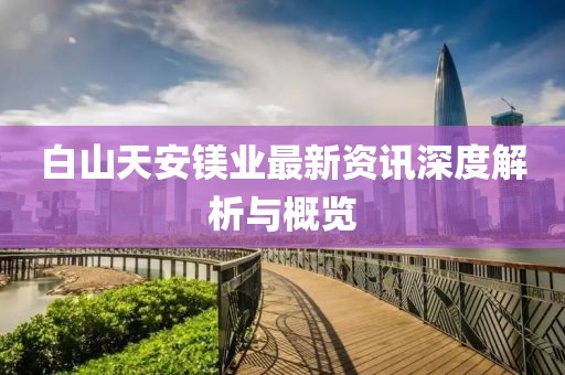白山天安镁业最新资讯深度解析与概览