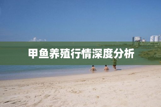 甲鱼养殖行情深度分析