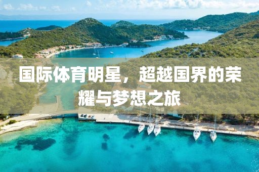 国际体育明星，超越国界的荣耀与梦想之旅
