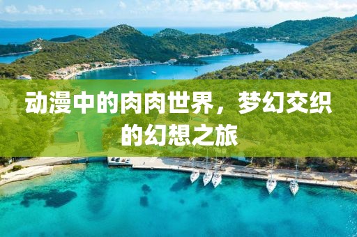 动漫中的肉肉世界，梦幻交织的幻想之旅