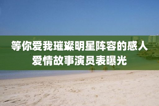 等你爱我璀璨明星阵容的感人爱情故事演员表曝光