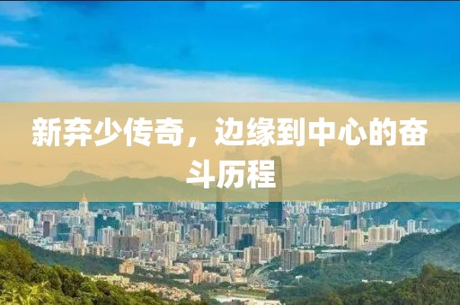 新弃少传奇，边缘到中心的奋斗历程