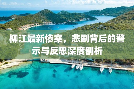 柳江最新惨案，悲剧背后的警示与反思深度剖析