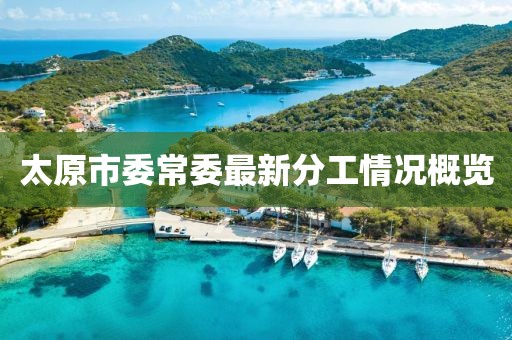 太原市委常委最新分工情况概览