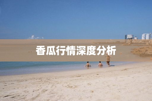 香瓜行情深度分析