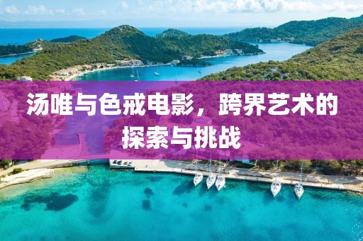 汤唯与色戒电影，跨界艺术的探索与挑战