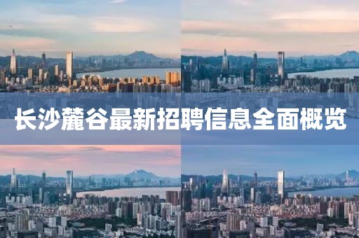 长沙麓谷最新招聘信息全面概览
