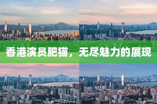 香港演员肥猫，无尽魅力的展现