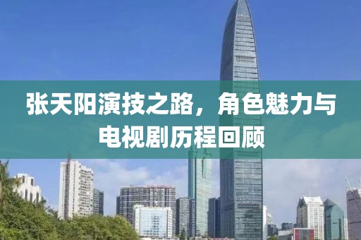 张天阳演技之路，角色魅力与电视剧历程回顾