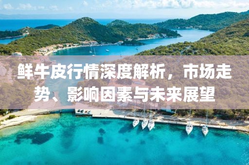 鲜牛皮行情深度解析，市场走势、影响因素与未来展望