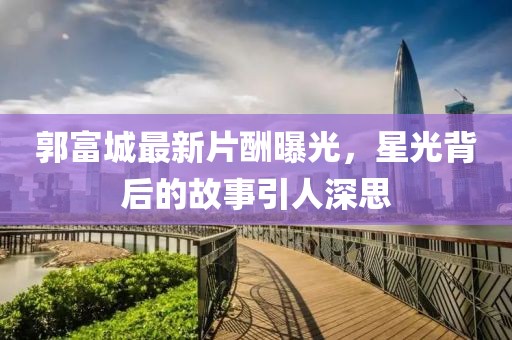 郭富城最新片酬曝光，星光背后的故事引人深思