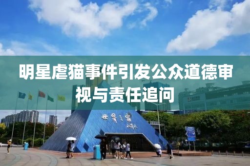 明星虐猫事件引发公众道德审视与责任追问