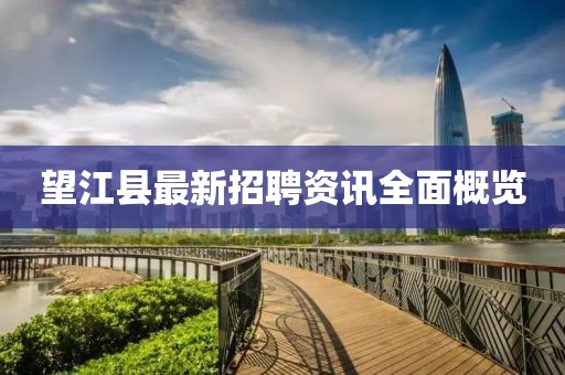 望江县最新招聘资讯全面概览