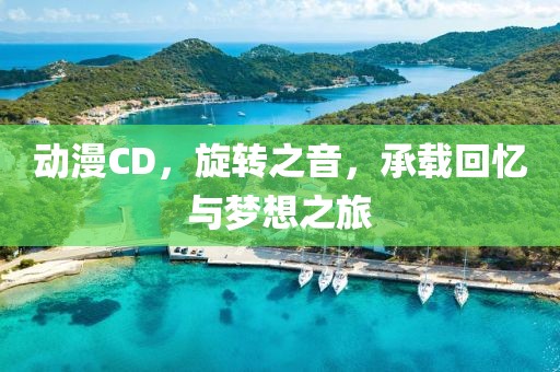 动漫CD，旋转之音，承载回忆与梦想之旅
