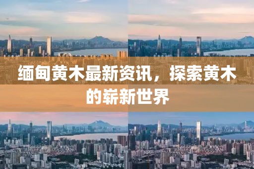 缅甸黄木最新资讯，探索黄木的崭新世界