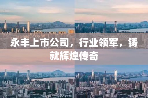 永丰上市公司，行业领军，铸就辉煌传奇