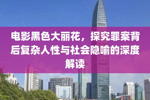 电影黑色大丽花，探究罪案背后复杂人性与社会隐喻的深度解读