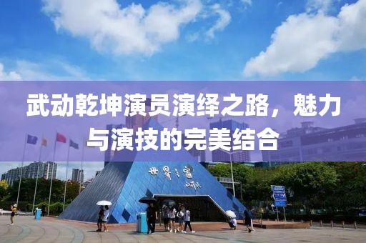 武动乾坤演员演绎之路，魅力与演技的完美结合