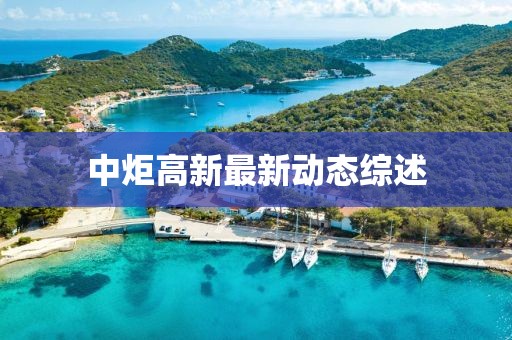中炬高新最新动态综述