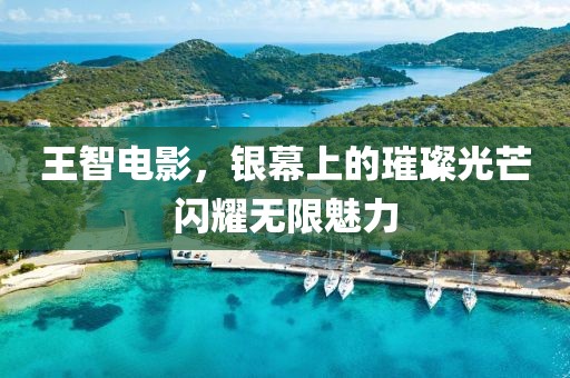 王智电影，银幕上的璀璨光芒闪耀无限魅力