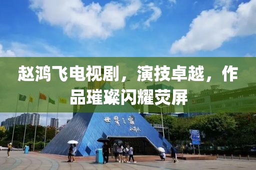 赵鸿飞电视剧，演技卓越，作品璀璨闪耀荧屏