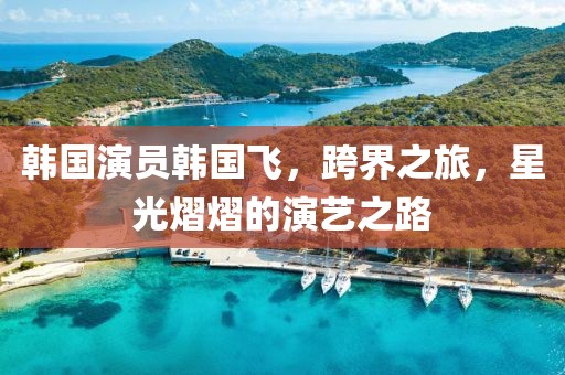 韩国演员韩国飞，跨界之旅，星光熠熠的演艺之路