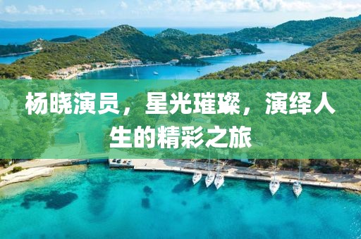 杨晓演员，星光璀璨，演绎人生的精彩之旅