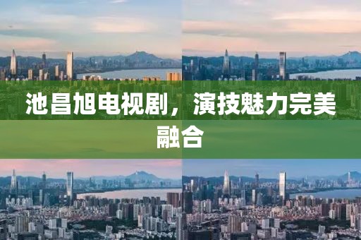池昌旭电视剧，演技魅力完美融合