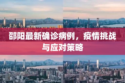 邵阳最新确诊病例，疫情挑战与应对策略